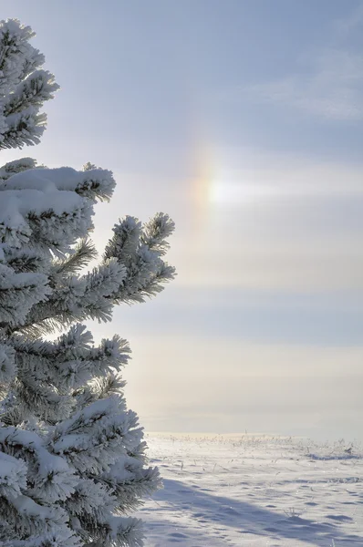 Vintern rainbow halo — Stockfoto