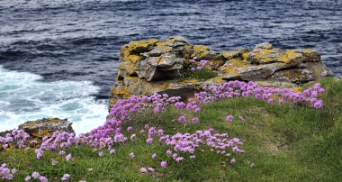 County donegal sahil
