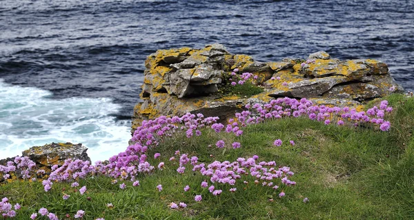 Comté de Donegal côte — Photo