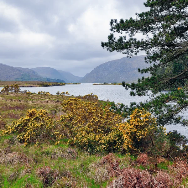 Glenveagh tó — Stock Fotó