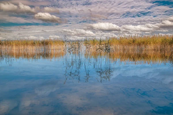 Sazlık Bulutlar Göl Suyunda Yansıyor Dusia Gölü Lazdijai Bölgesi Litvanya — Stok fotoğraf
