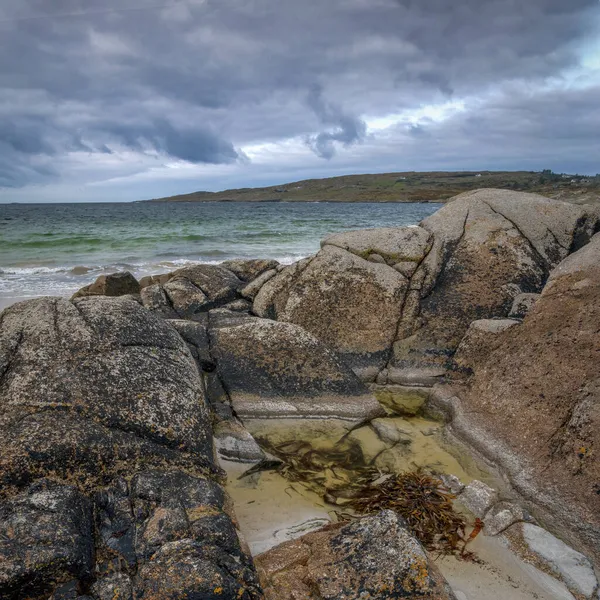 爱尔兰加尔维 Ervallagh Roundstone Galway 狗湾海滩上的岩石和海洋藻类 — 图库照片
