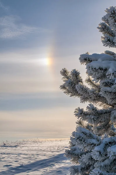 Very Cold Weather Cloudscape Sun Halo Sky Trakai District Municipality — Stock Photo, Image