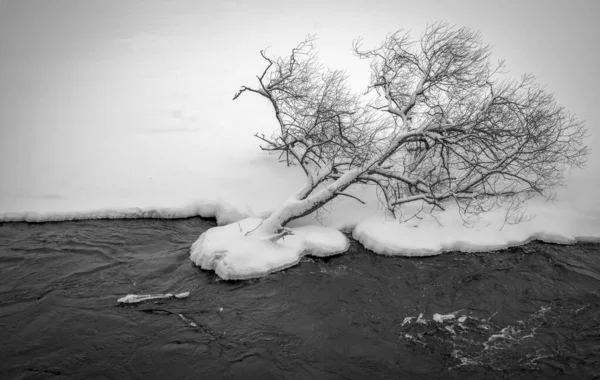 Ландшафт Реки Нерис Зимой Облачный День Водный Поток Возле Заснеженного — стоковое фото