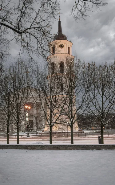 Dom Und Glockenturm Zur Weihnachtszeit Die Weihnachtszeit Von Vilnius Ist — Stockfoto