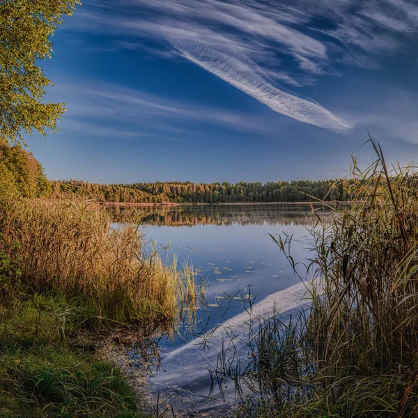 Der See Zelvos Der Nähe Des Litauischen Ethnokosmologischen Museums Oktobermorgen — Stockfoto