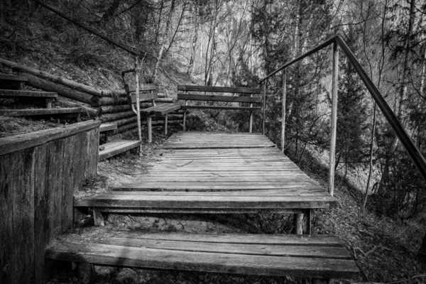 Velhas Escadas Para Duna Parnidis Início Primavera Imagem Monocromática Foco — Fotografia de Stock