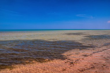Letonya 'daki Baltık deniz kıyıları. Yaz öğleden sonra. Şeffaf su, küçük dalgalar. Sudaki yosunlar. Açık mavi gökyüzü.