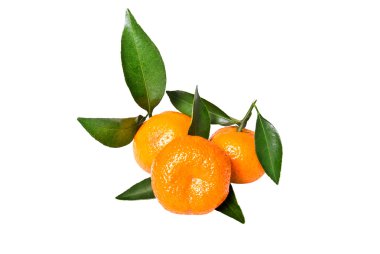 Mandarin