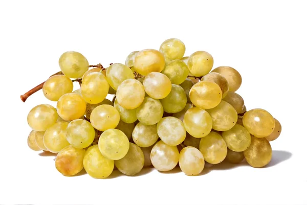 Uvas — Fotografia de Stock