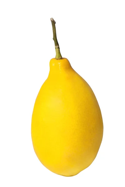 黄柠檬 — 图库照片