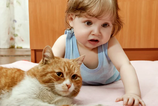 boy playing with  cat  .