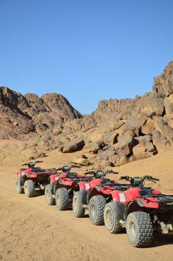 Quad ralli