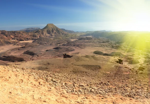 Песчаная пустыня под солнцем — стоковое фото