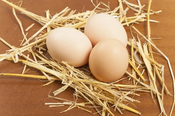 Κοτόπουλο αυγό — Φωτογραφία Αρχείου