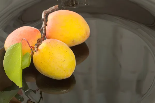 Fresh large apricot — Stock Photo, Image
