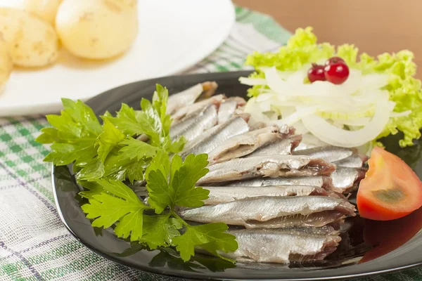 Gesalzene Sardellen ohne Kopf — Stockfoto