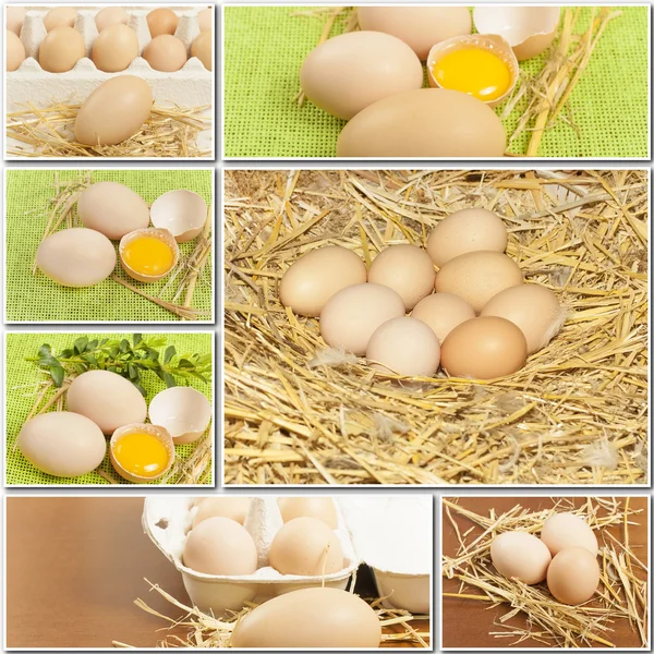 Collage de huevos de pollo frescos —  Fotos de Stock