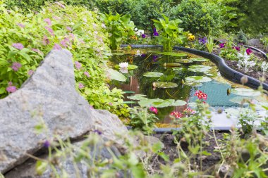 Suni gölet ile parça Bahçe