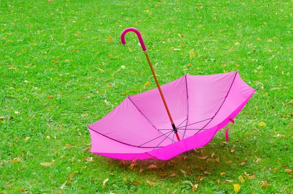 Umbrella on grass — Stock Photo, Image