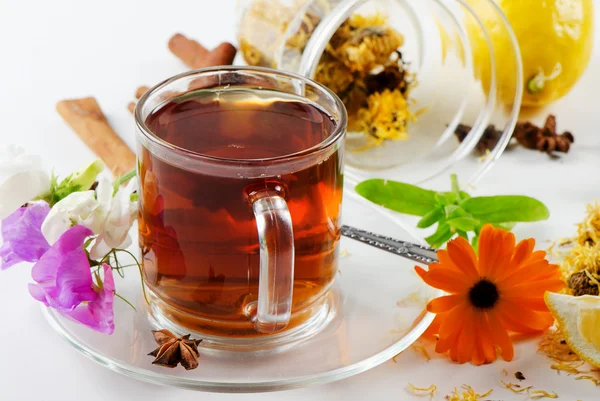 Tea and herbs — Stock Photo, Image