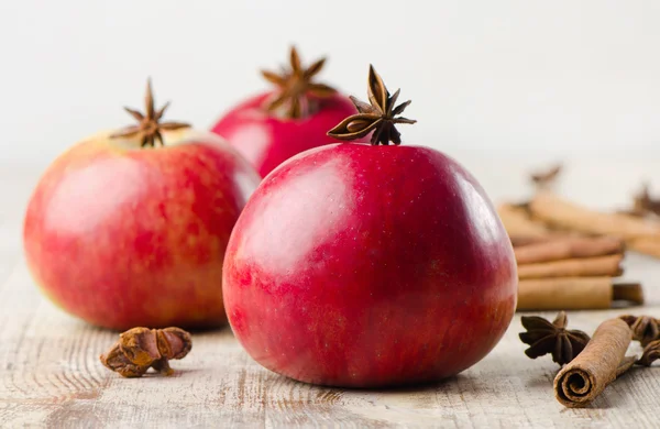 Äpfel und Gewürze — Stockfoto