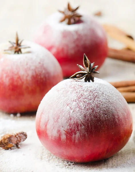 Kerstmis rode appels en specerijen — Stockfoto