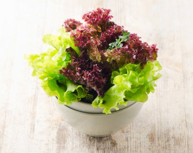 taze marul kırmızı ve yeşil salata