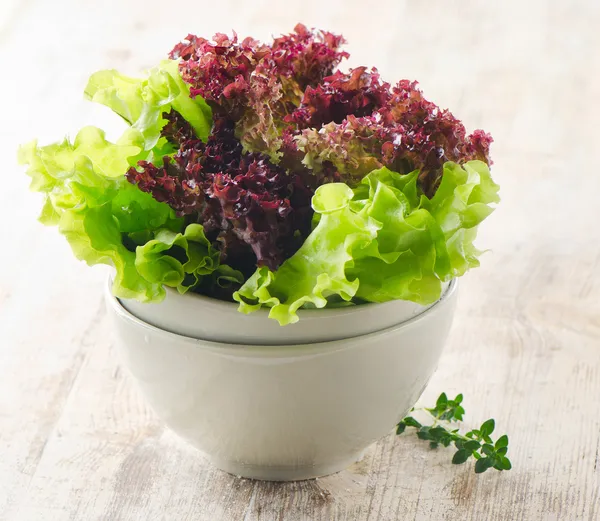 Lettuce salad — Stock Photo, Image