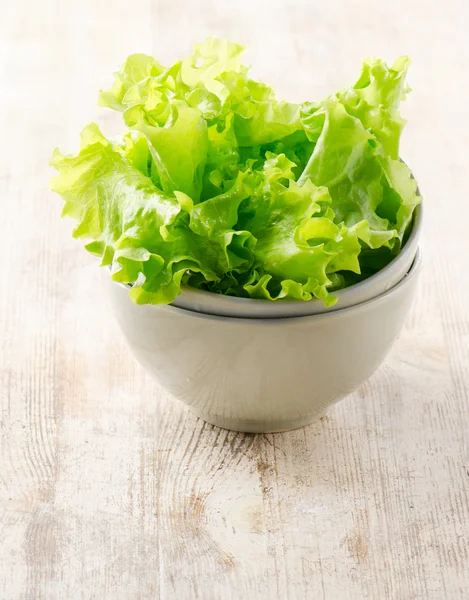 Fresh lettuce salad — Stock Photo, Image