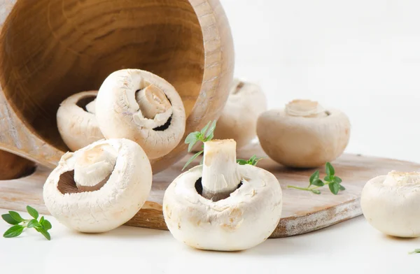 Champignon mushroom — Stock Photo, Image