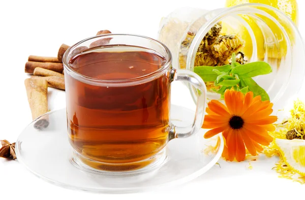 Tea, flower and herbs — Stock Photo, Image