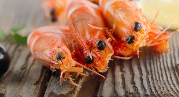 Crevettes tigrées — Photo