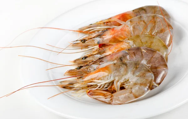 Raw tiger shrimps — Stock Photo, Image