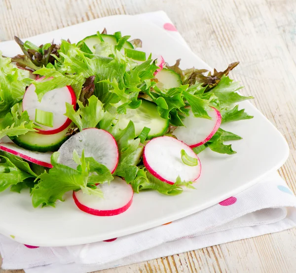 Fresh salad with lettuce, cucumber and radish — Stock Photo, Image