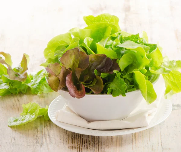 Lettuce salad — Stock Photo, Image