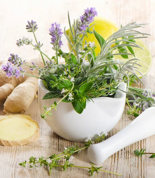 Fresh herbs — Stock Photo, Image