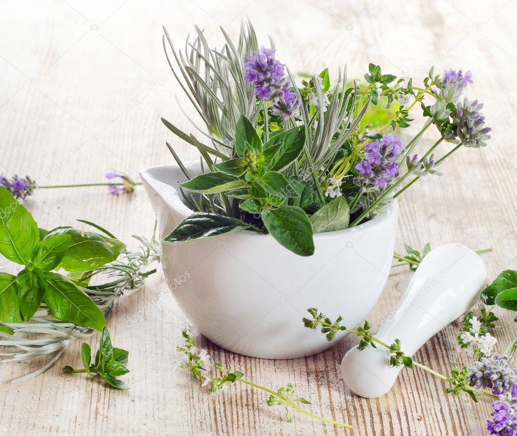 Fresh herbs — Stock Photo © bit245 27570363