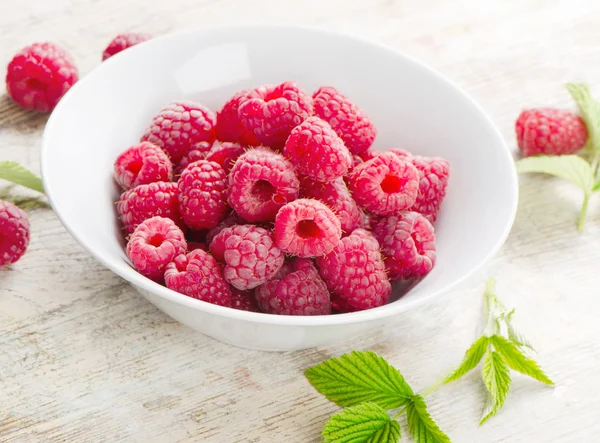 Verse aardbeien — Stockfoto