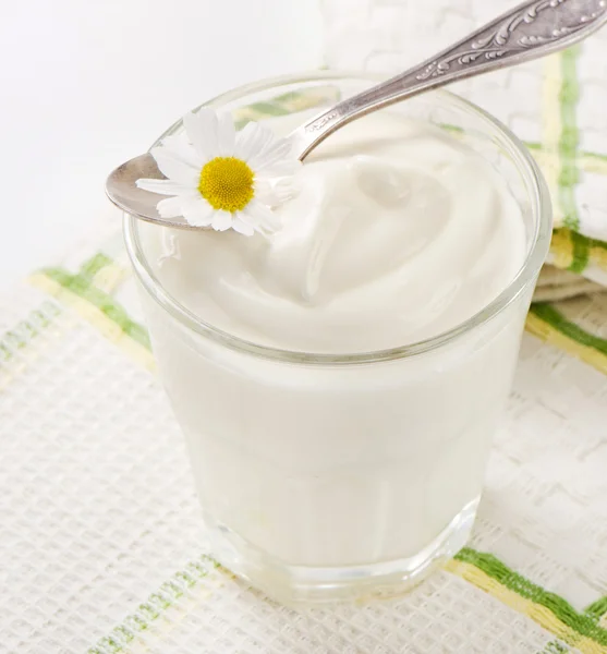 Fresh yogurt — Stock Photo, Image