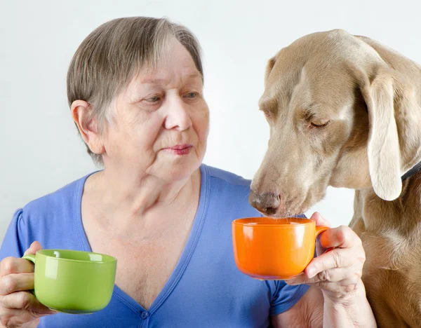 Старша жінка з собакою п'є чай — стокове фото