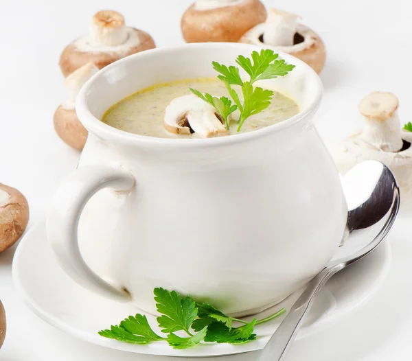 Soupe champignon aux champignons — Photo