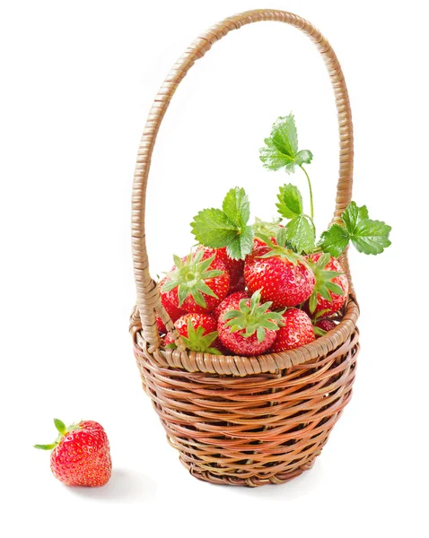 Fragole fresche — Foto Stock