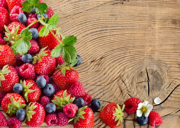 Fresh berries — Stock Photo, Image