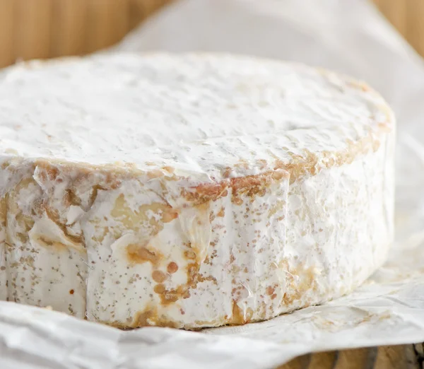 Sýr camembert — Stock fotografie