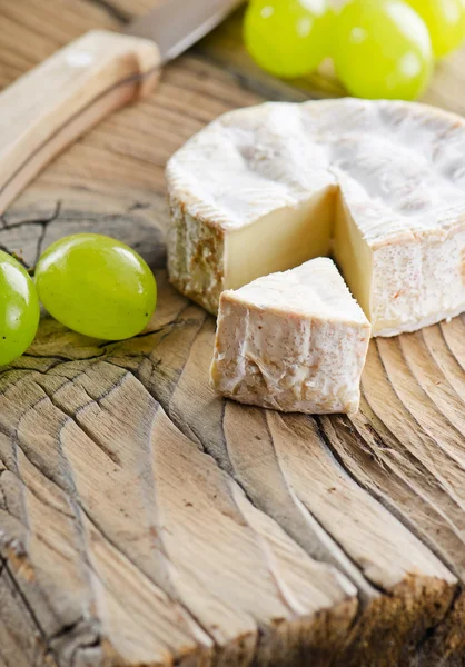 Camembert-Käse — Stockfoto