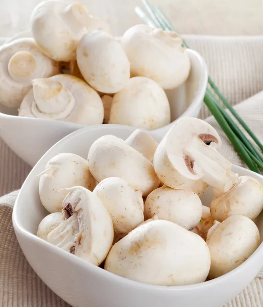 Mushrooms — Stock Photo, Image