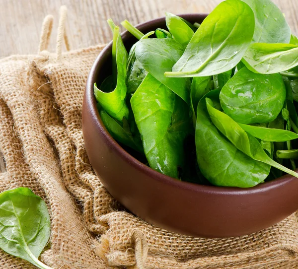 Spinach — Stock Photo, Image