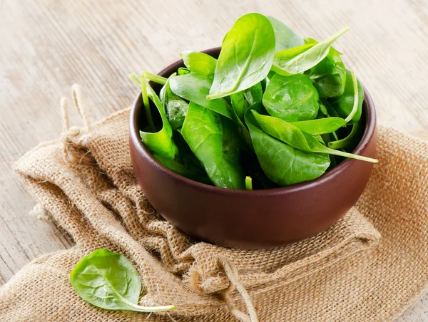 Spinach — Stock Photo, Image