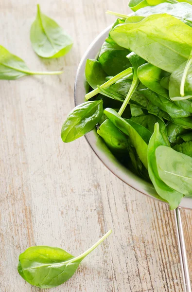 Spinach — Stock Photo, Image